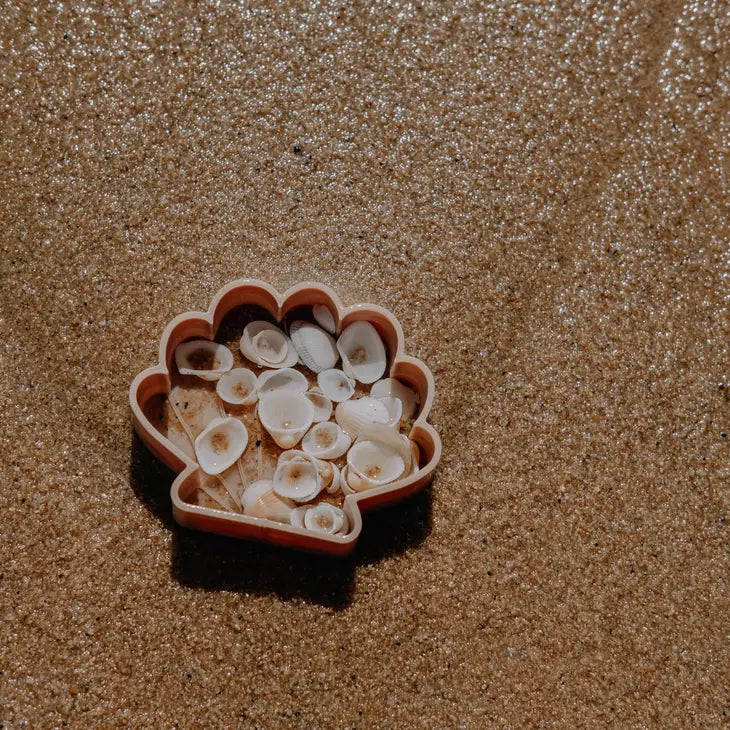 Sea Shell Eco Mould