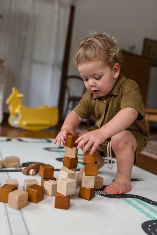 Qtoys My First Natural Blocks 25 Pcs