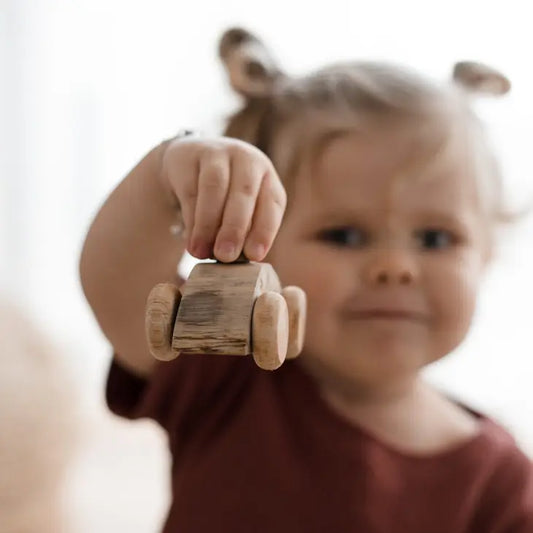 Qtoys Wooden Tree Mini Vehicle Set of 6