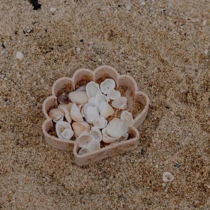 Sea Shell Eco Mould