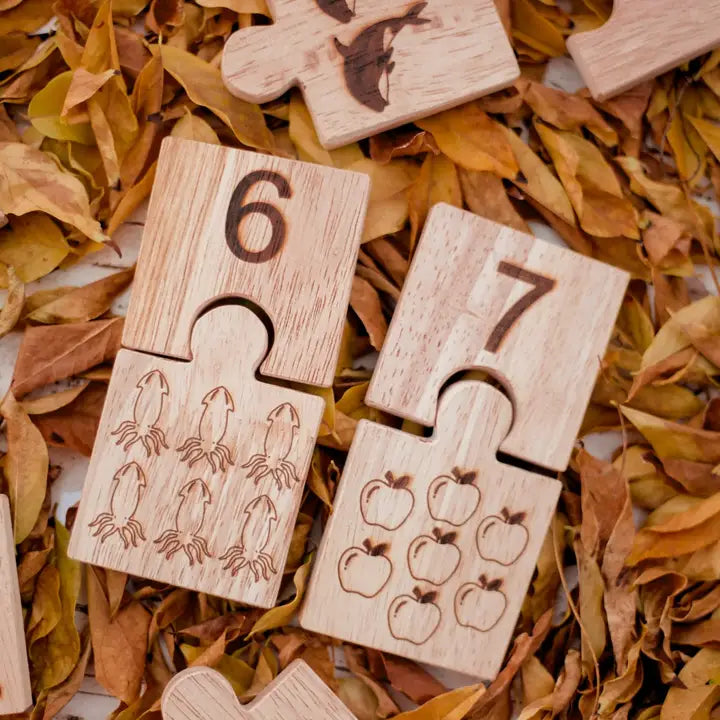 Qtoys Wooden Number Jigsaw