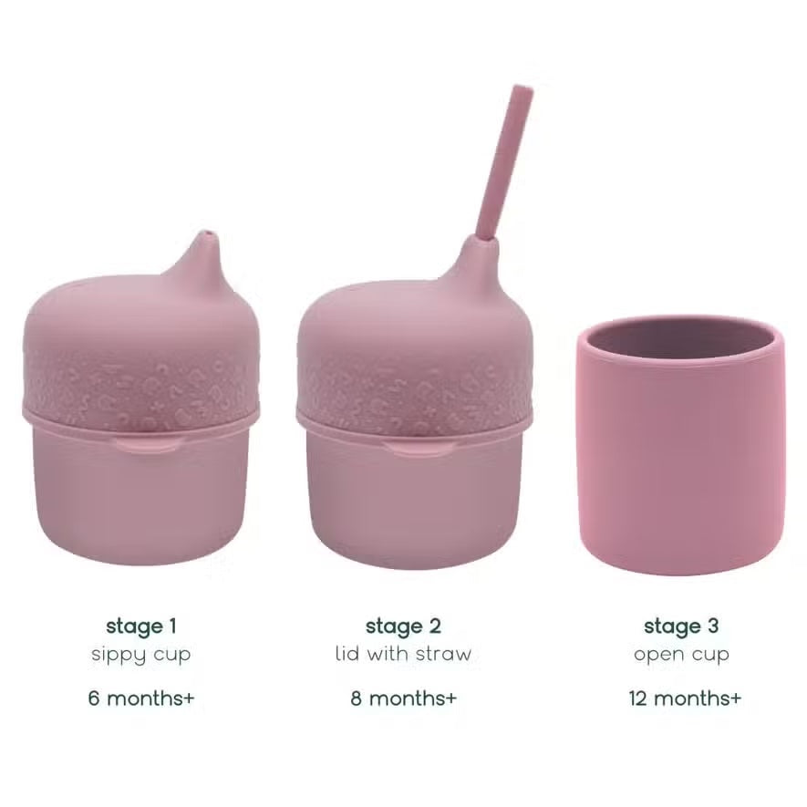 We Might Be Tiny Sippie Cup Set - Dusty Rose