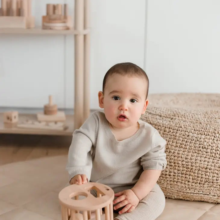 Qtoys Wooden Shape Sorter