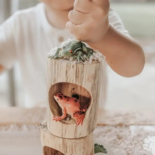 Qtoys Wooden Log Counting and Sorting Trays set of 5