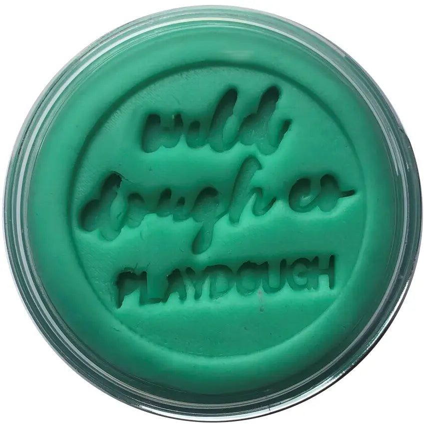 Wild Dough Sea Glass Teal Playdough 280g