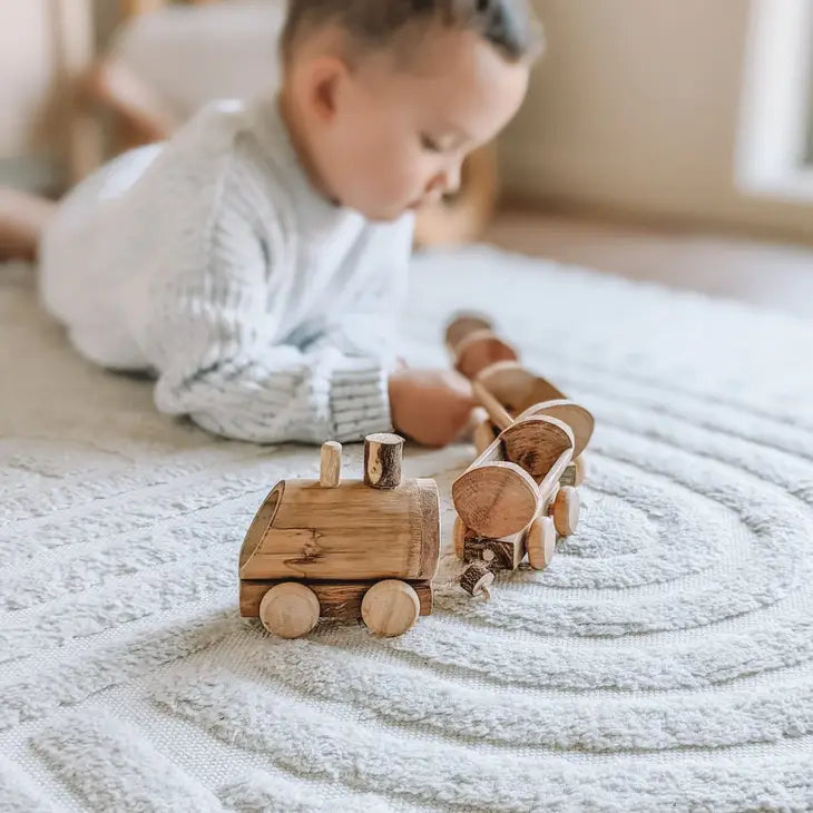 Qtoys Bamboo Train