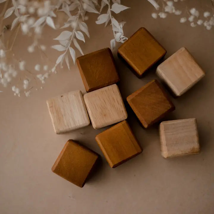 Qtoys My First Natural Blocks 25 Pcs