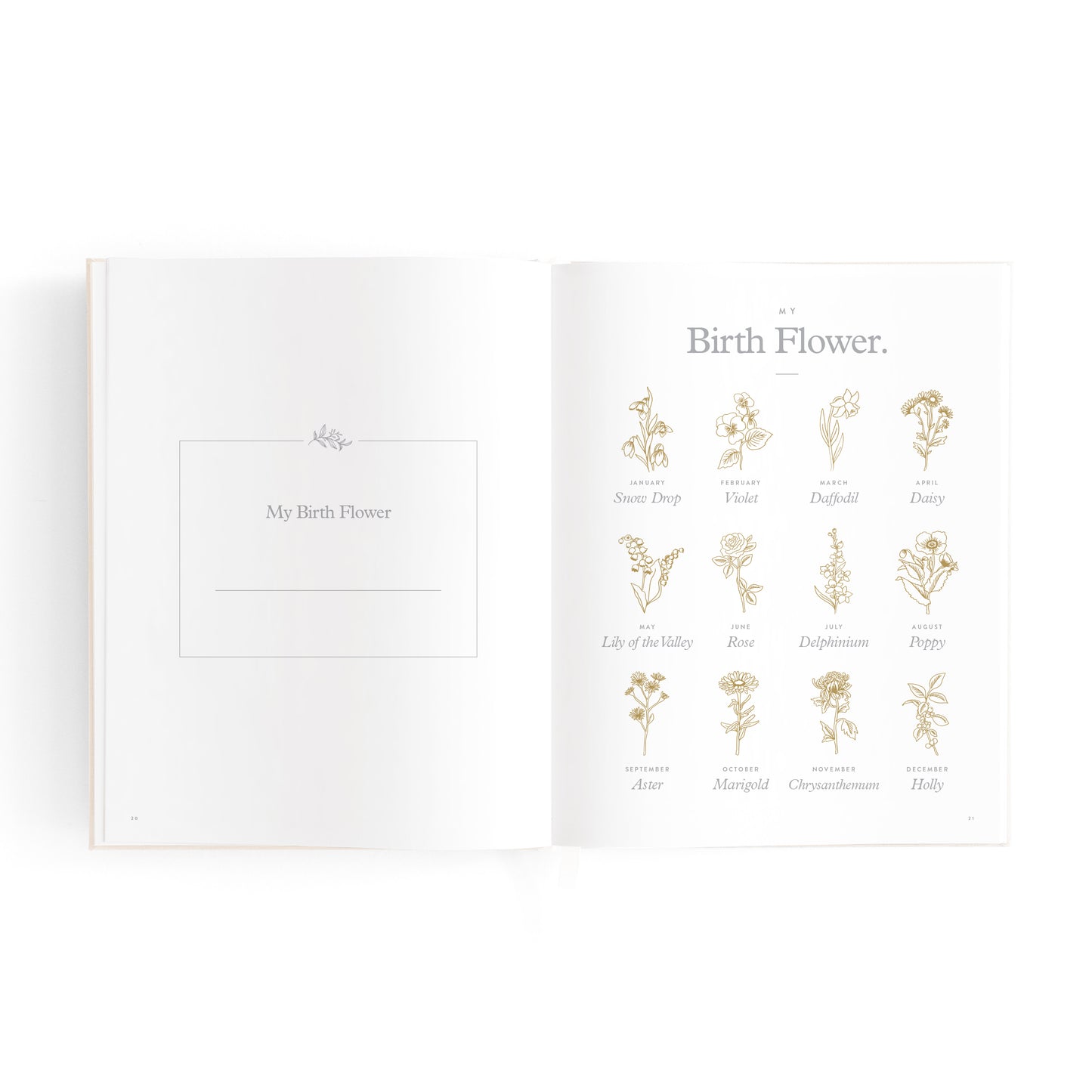 Mini Baby Book Keepsake - Oatmeal