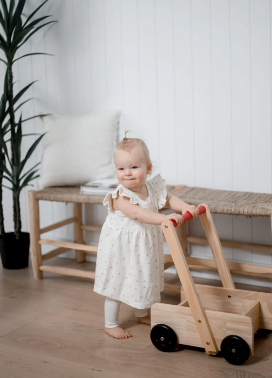 Qtoys Wooden Classic Baby Walker