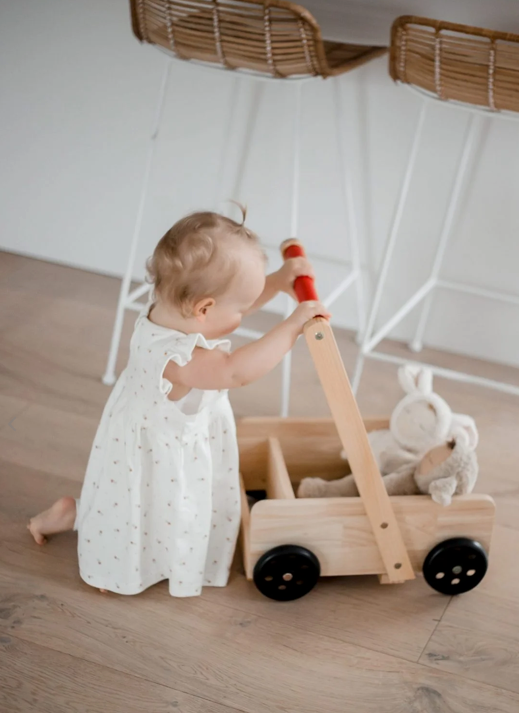 Qtoys Wooden Classic Baby Walker