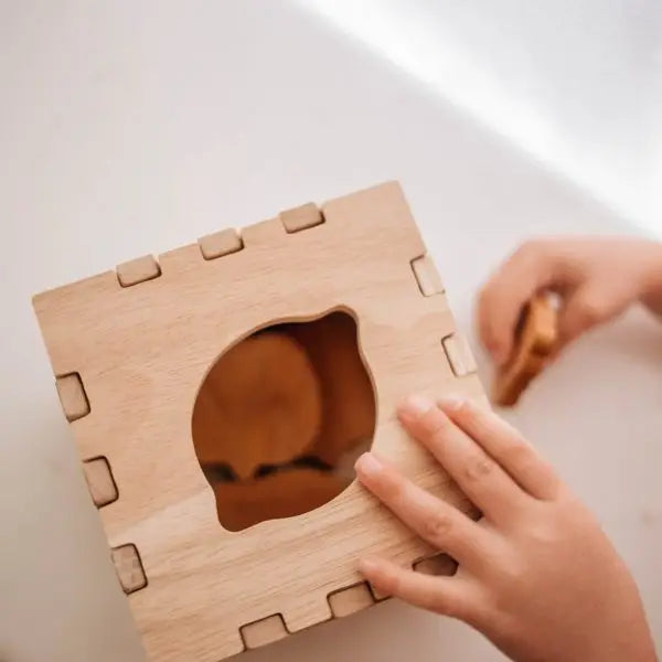 Qtoys Wooden Fruit Puzzle Box