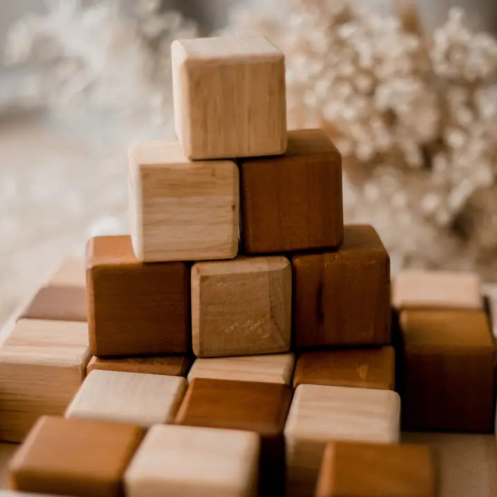 Qtoys My First Natural Blocks 25 Pcs