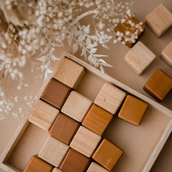 Qtoys My First Natural Blocks 25 Pcs