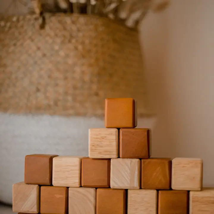 Qtoys My First Natural Blocks 25 Pcs