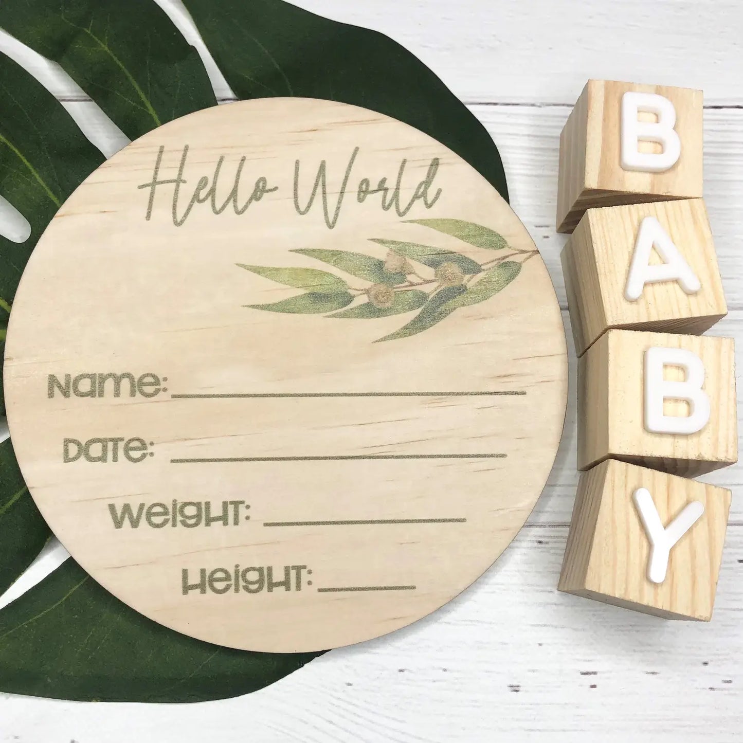 Birth Announcement Disc - Eucalyptus