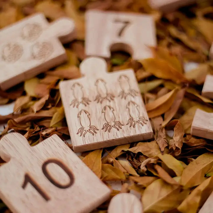Qtoys Wooden Number Jigsaw