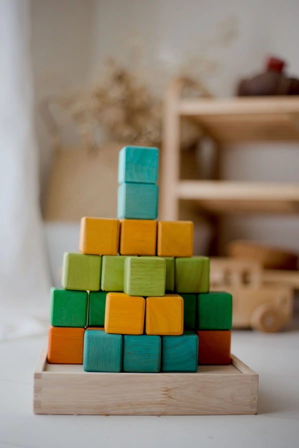 Qtoys Wooden My First Block Set - Coloured