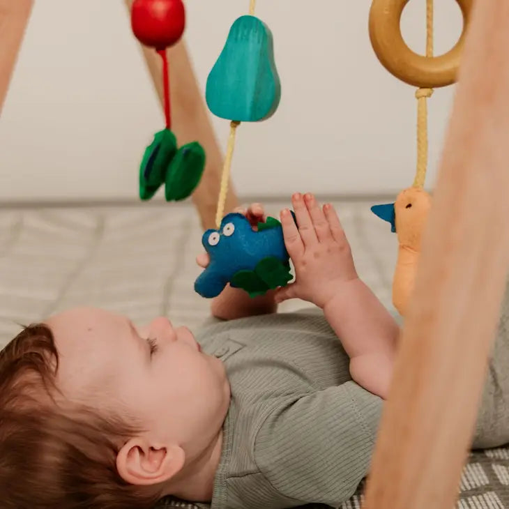 Qtoys Wooden Baby Gym