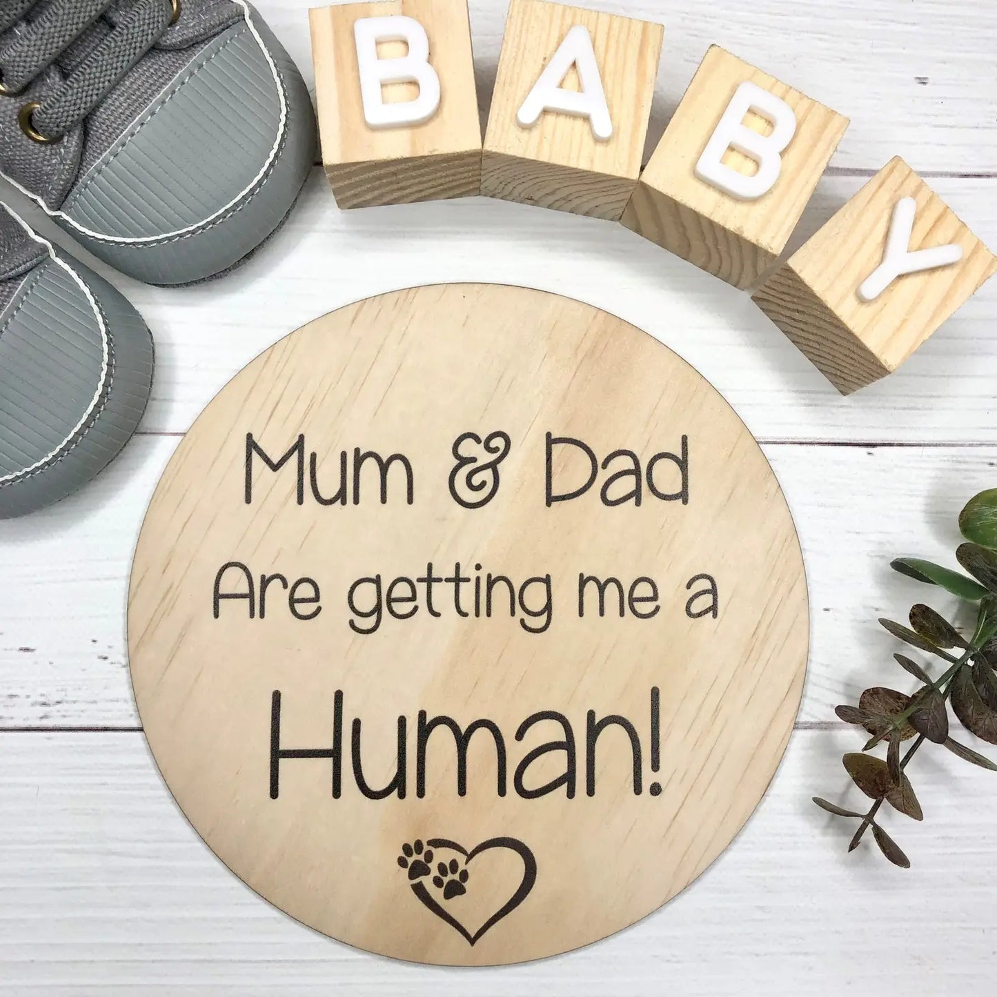 Pregnancy Announcement Disc - Pet