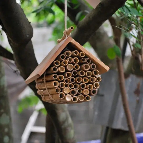 Qtoys Wooden Hanging Bee House
