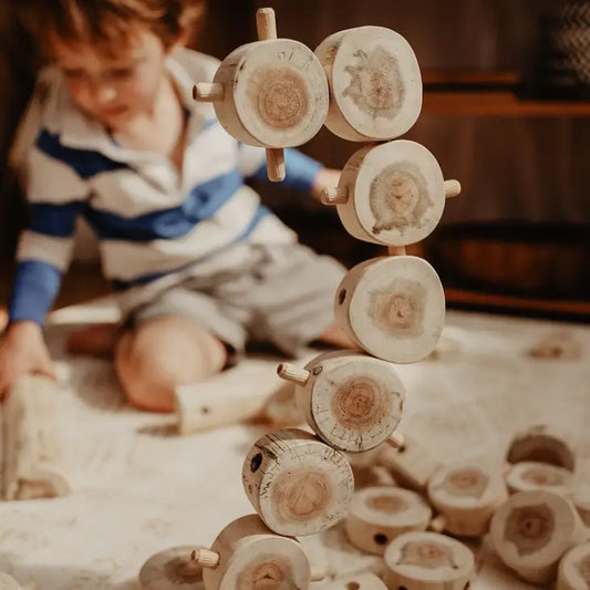 Qtoys Wooden Tree construction set 40 pcs
