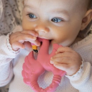 Natruba Teether Flamingo