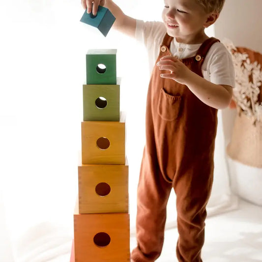 Qtoys Wooden Rainbow Nesting Boxes