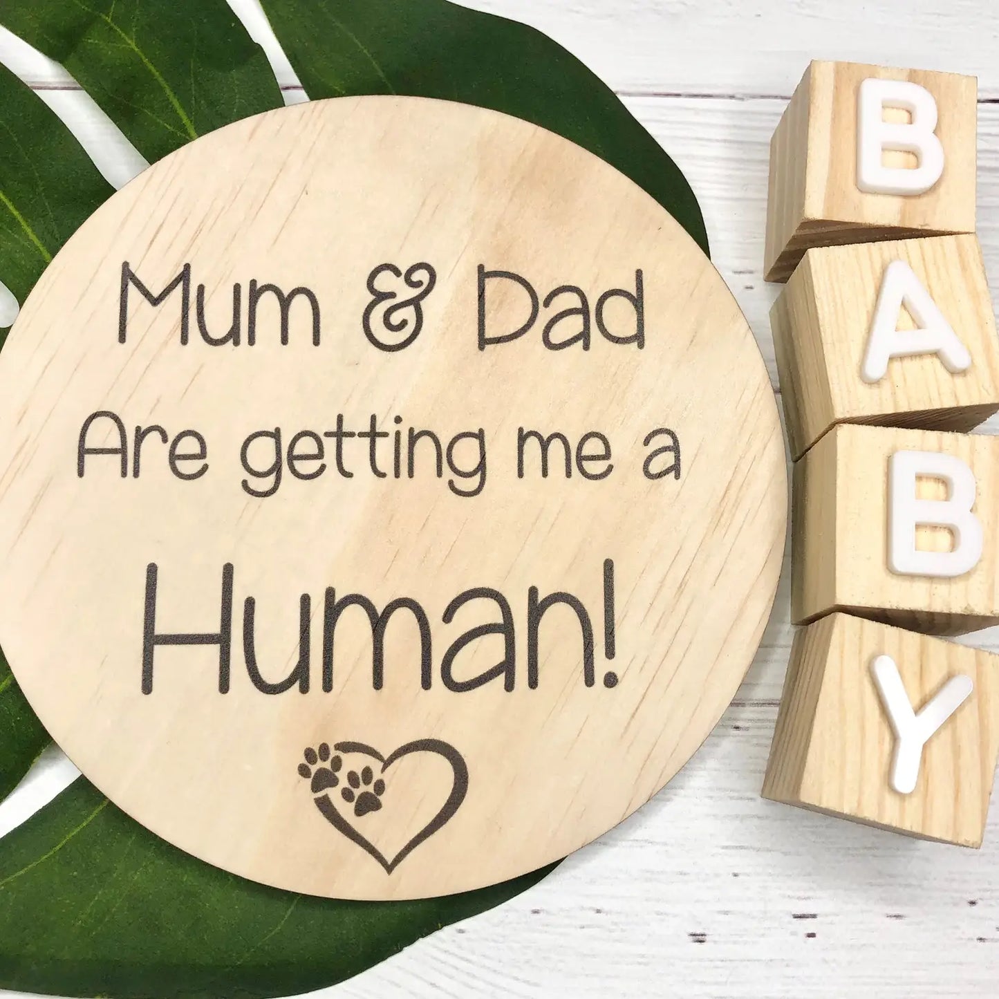 Pregnancy Announcement Disc - Pet