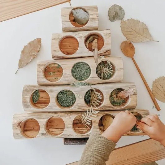 Qtoys Wooden Log Counting and Sorting Trays set of 5